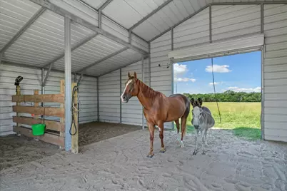 4182 Hidden Meadow Drive, Quinlan, TX 75474 - Photo 37