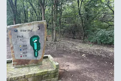 24043 Stonewood Drive, Whitney, TX 76692 - Photo 3