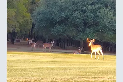 24043 Stonewood Drive, Whitney, TX 76692 - Photo 21