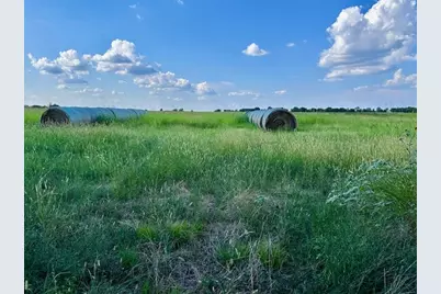 Tbd 19.933Ac Tx-11, Bailey, TX 75413 - Photo 3