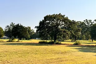 Tbd Fm 513, East Tawakoni, TX 75472 - Photo 1