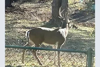 2701 Wills Way Drive, Granbury, TX 76049 - Photo 35
