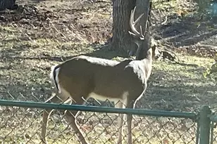 2701 Wills Way Dr, Granbury, TX 76049 - Photo 35