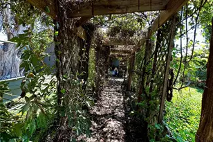 510 E Pecan St, Seymour, TX 76380 - Photo 17