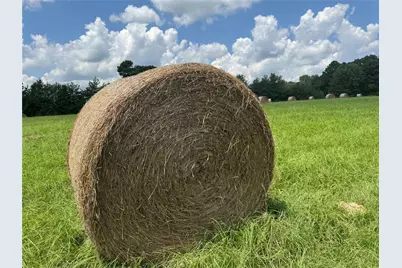 1466 Cr 3214, Jacksonville, TX 75766 - Photo 7