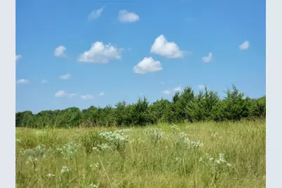 3442 Cr 15100, Blossom, TX 75416 - Photo 39