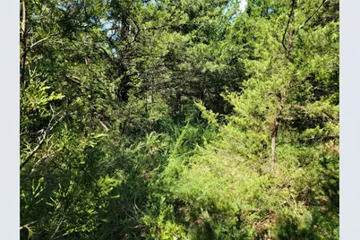 3442 Cr 15100, Blossom, TX 75416 - Photo 11