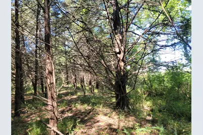 3442 Cr 15100, Blossom, TX 75416 - Photo 7