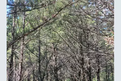 3442 Cr 15100, Blossom, TX 75416 - Photo 35