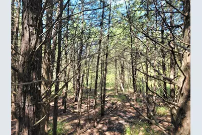 3442 Cr 15100, Blossom, TX 75416 - Photo 29