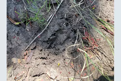 3442 Cr 15100, Blossom, TX 75416 - Photo 19