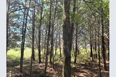 3442 Cr 15100, Blossom, TX 75416 - Photo 27