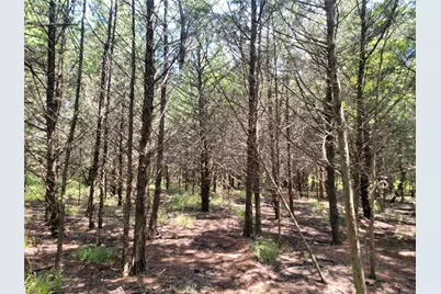 3442 Cr 15100, Blossom, TX 75416 - Photo 25