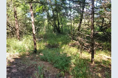 3442 Cr 15100, Blossom, TX 75416 - Photo 9