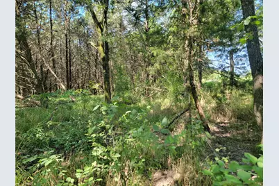 3442 Cr 15100, Blossom, TX 75416 - Photo 5