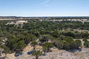1209 County Road 407A, Nemo, TX 76070 - Photo 15