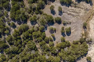 1209 County Road 407A, Nemo, TX 76070 - Photo 17