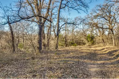 319 County Road 4868, Boyd, TX 76023 - Photo 13