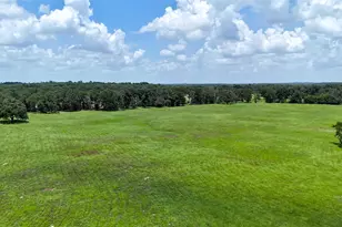 Tbd Cr 4613, Athens, TX 75751 - Photo 1