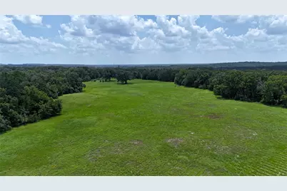 Tbd Cr 4613, Athens, TX 75751 - Photo 7