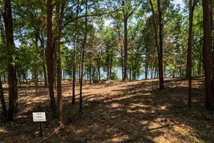 Tbd Pr-52447, Leesburg, TX 75451 - Photo 1