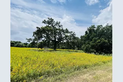 1037 Gonzollas Road, Springtown, TX 76082 - Photo 11