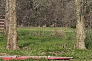 469 Dugan Chapel, Bells, TX 75414 - Photo 11