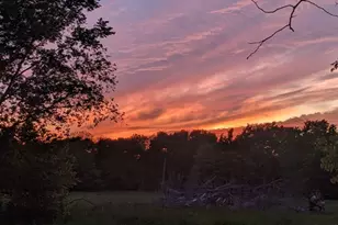 469 Dugan Chapel, Bells, TX 75414 - Photo 13