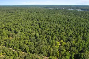 1101 King John Blvd, Scroggins, TX 75480 - Photo 5