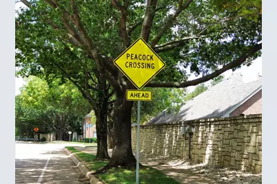 6211 Fox Hunt Drive, Arlington, TX 76001 - Photo 35