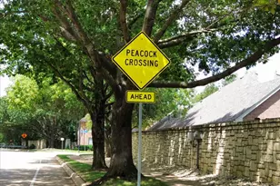 6211 Fox Hunt Dr, Arlington, TX 76001 - Photo 35