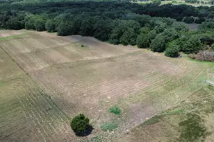 4516 Fm-275 S, Cumby, TX 75433 - Photo 35