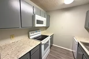 219 Fry St, Denton, TX 76201 - Photo 9