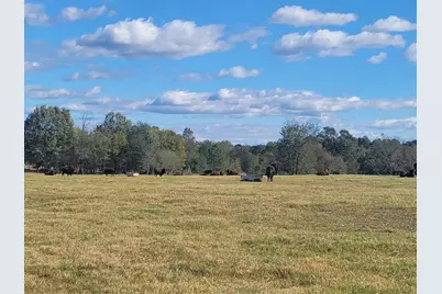 12403 Fm 1975 #Parcel G, Gilmer, TX 75644 - Photo 11