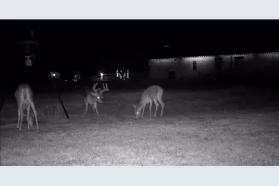 341 Dogwood Circle, Royse City, TX 75189 - Photo 35