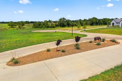 435 Massey Road, Pilot Point, TX 76258 - Photo 23