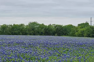 1810 Longbranch Rd, Waxahachie, TX 76065 - Photo 11