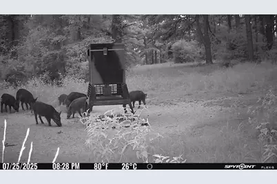 541 Fcr 240, Fairfield, TX 75840 - Photo 13