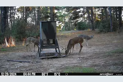 541 Fcr 240, Fairfield, TX 75840 - Photo 9