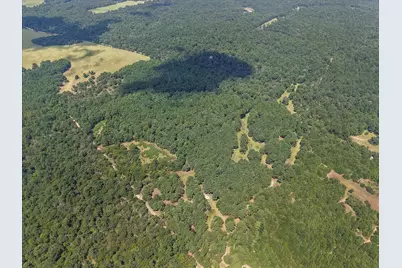 541 Fcr 240, Fairfield, TX 75840 - Photo 3