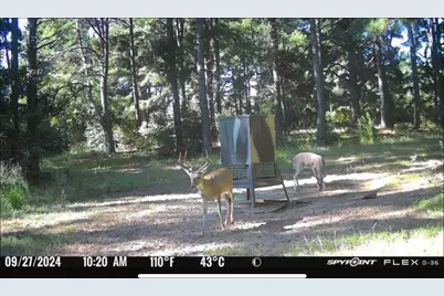 541 Fcr 240, Fairfield, TX 75840 - Photo 19