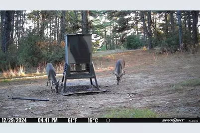 541 Fcr 240, Fairfield, TX 75840 - Photo 15