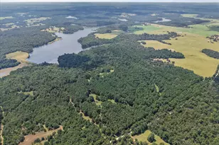 541 Fcr 240, Fairfield, TX 75840 - Photo 1