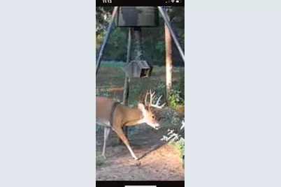 541 Fcr 240, Fairfield, TX 75840 - Photo 21