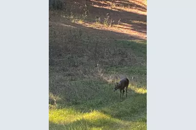 541 Fcr 240, Fairfield, TX 75840 - Photo 17