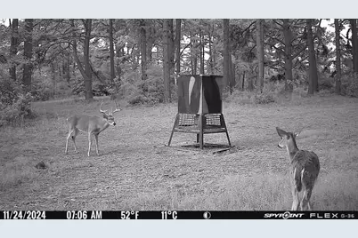 541 Fcr 240, Fairfield, TX 75840 - Photo 11