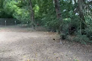 1035 N Johnson St, Mineola, TX 75773 - Photo 3