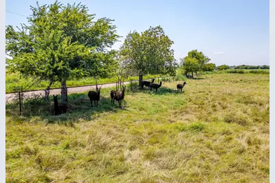 1041 County Road 310A, Cleburne, TX 76031 - Photo 19