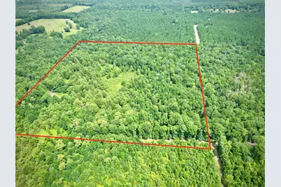 0 Winn School Road, Hosston, LA 71043 - Photo 15