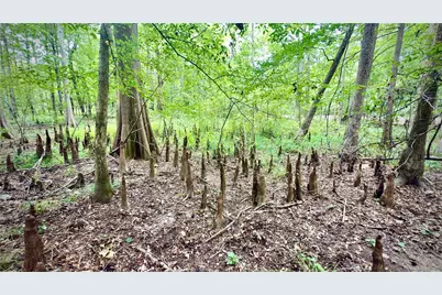 0 Winn School Road, Hosston, LA 71043 - Photo 7